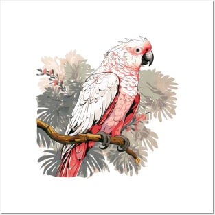 Rose Breasted Cockatoo Posters and Art